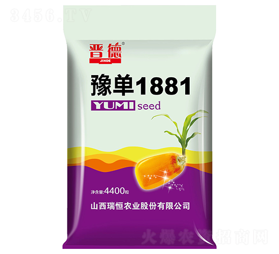 豫單1881玉米種子-晉德-瑞恒農業