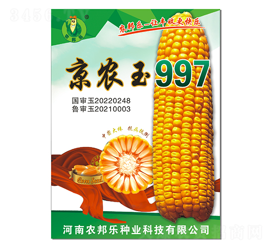 京農玉997玉米種子-農邦樂