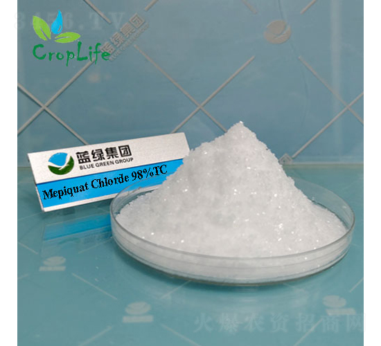 縮節(jié)胺（甲哌嗡）-愛(ài)普斯化工