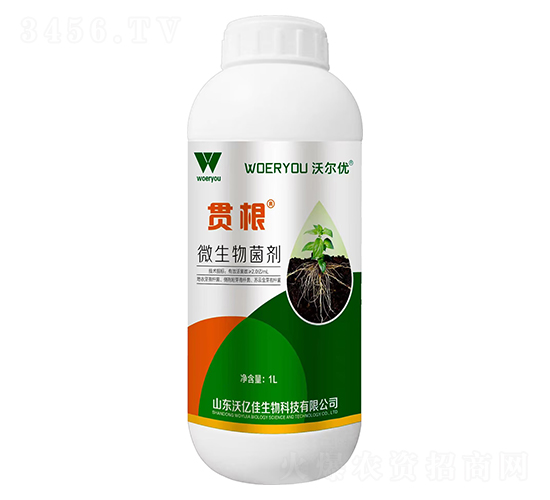 微生物菌劑-貫根-沃爾優