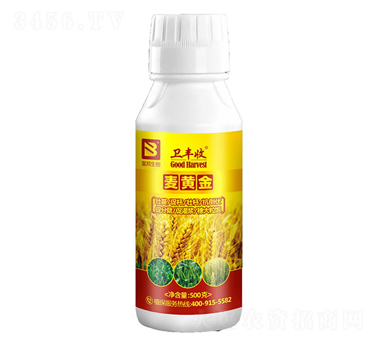 麥黃金-衛豐收-富邦生物