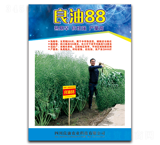 良油88-油菜種子-德名種業