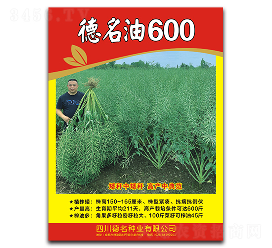 德名油600-油菜種子-德名種業