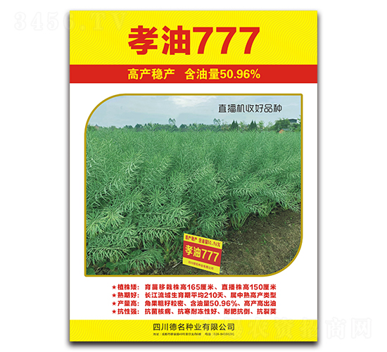 孝油777-油菜種子-德名種業