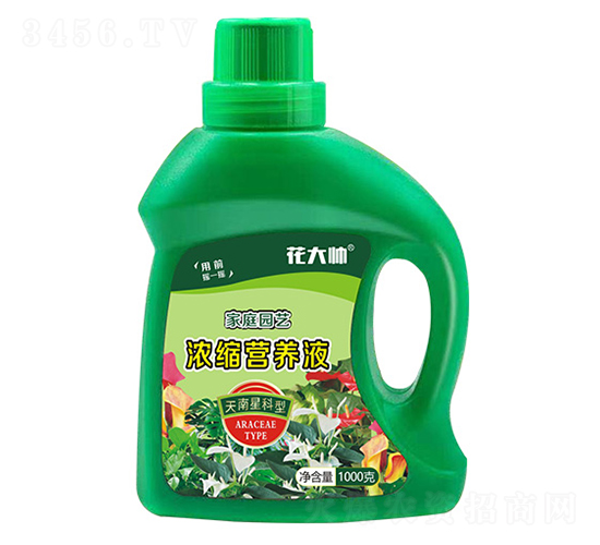 天南星科型濃縮營(yíng)養(yǎng)液-花大帥-綠沃肥業(yè)