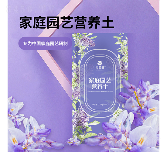 ͥ@ˇIB-ֲȴ