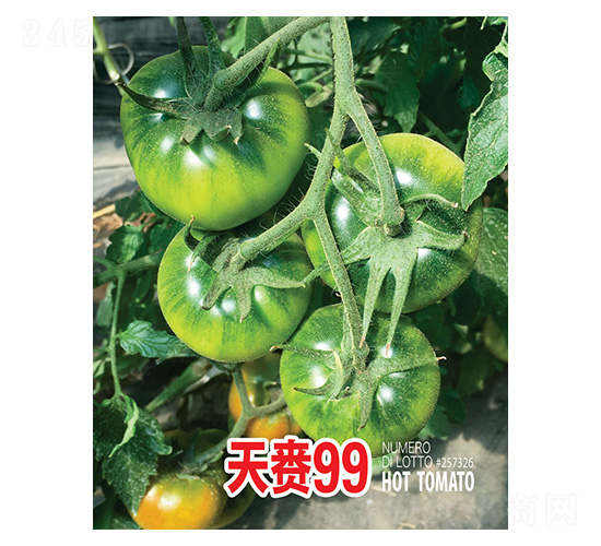 天賚99-忠農坤創