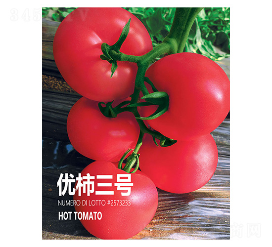 優柿三號-忠農坤創