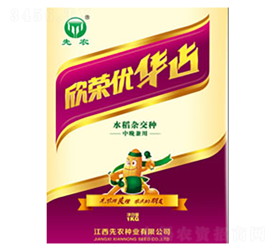 欣榮優華占-水稻種子-先農種業