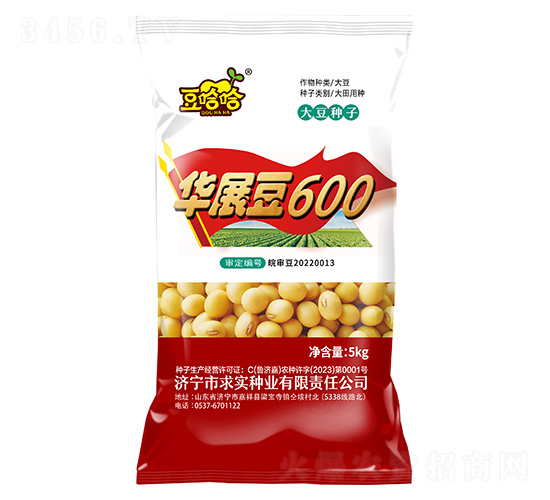 華展豆600-豆哈哈-求實種業