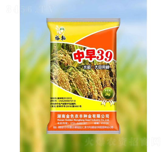 中早39-水稻種子-金色農豐