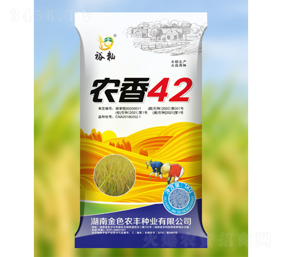農香42-水稻種子-金色農豐