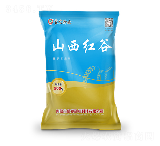 山西紅谷-谷子種子-蒙龍種業