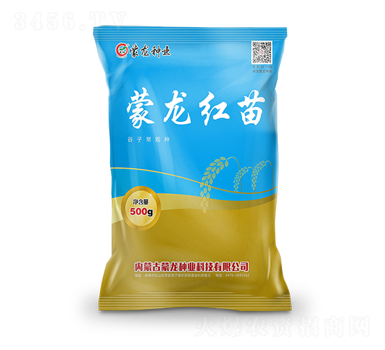 蒙龍紅苗-谷子種子-蒙龍種業