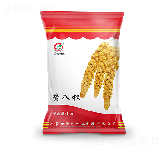 黃八杈-谷子種子-蒙龍種業