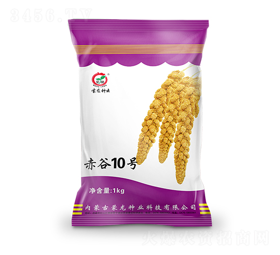 赤谷10號-谷子種子-蒙龍種業(yè)