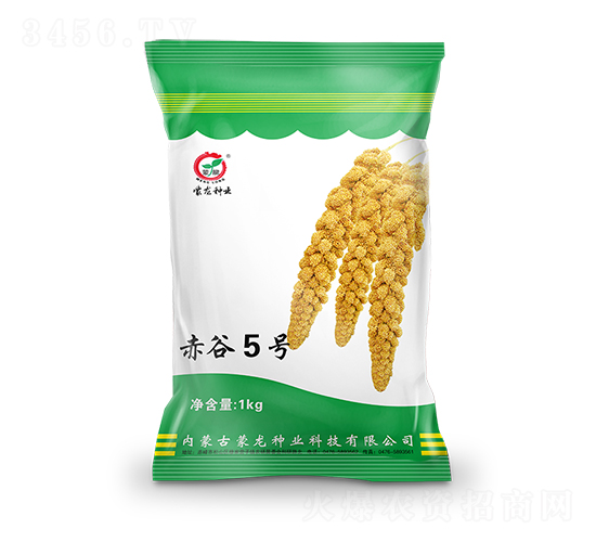赤谷5號-谷子種子-蒙龍種業