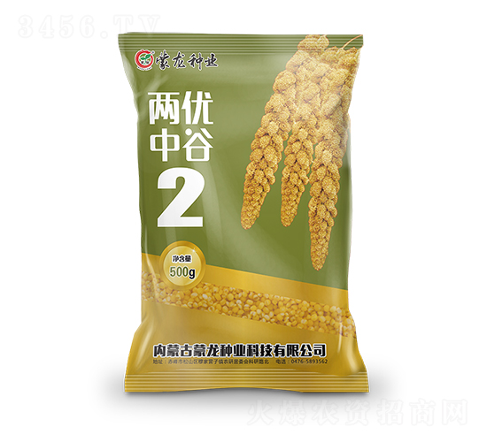 兩優中谷2-谷子種子-蒙龍種業