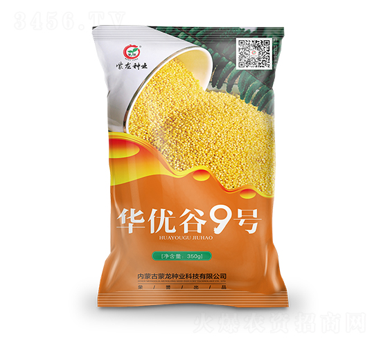 華優谷9-谷子種子-蒙龍種業