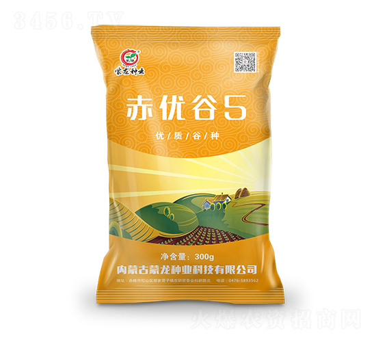 赤優谷5-谷子種子-蒙龍種業