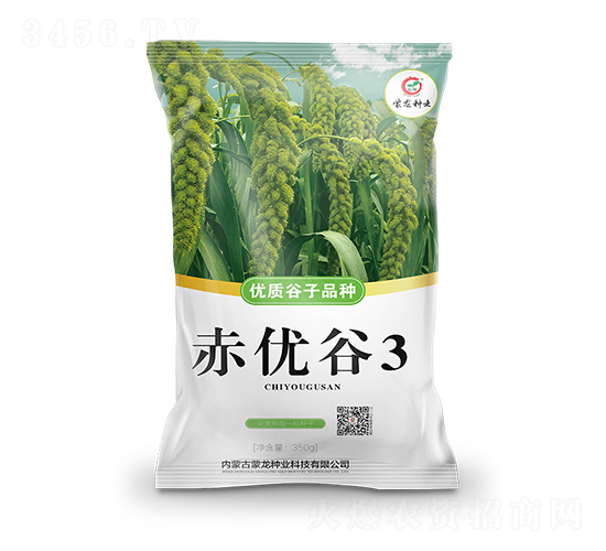 赤優谷3-谷子種子-蒙龍種業