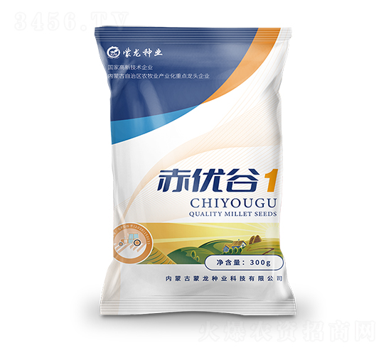 赤優谷1（藍）-谷子種子-蒙龍種業
