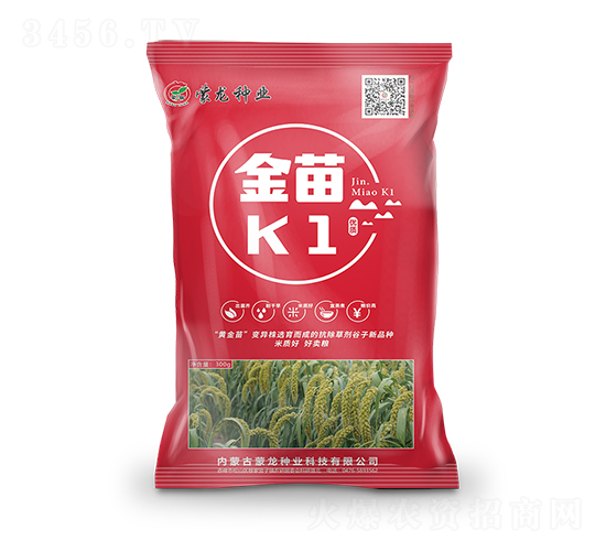 金苗K1（紅）-谷子種子-蒙龍種業
