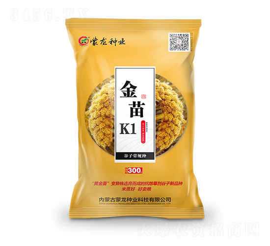 金苗K1（黃）-谷子種子-蒙龍種業