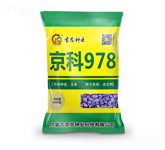 京科978（黃）-玉米種子-蒙龍種業