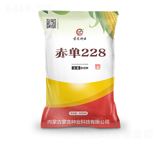 赤單228-玉米種子-蒙龍種業