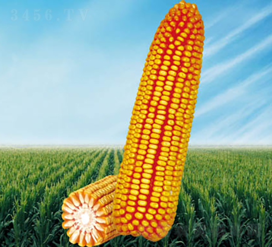 2̖-׷N-NI