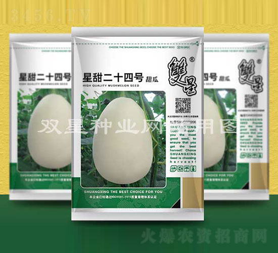 星甜二十四號-甜瓜種子-雙星種業(yè)