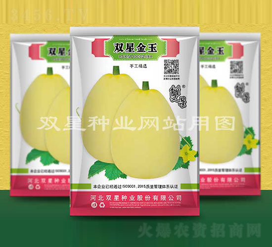 pǽ-ϷN-pǷNI