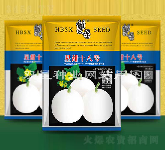 星甜十八號(hào)-甜瓜種子-雙星種業(yè)