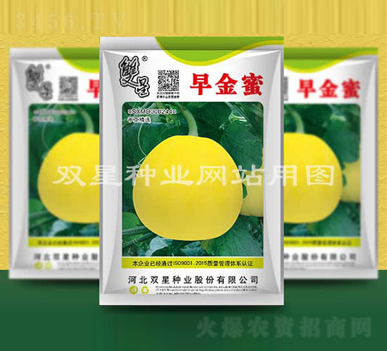 早金蜜-甜瓜種子-雙星種業