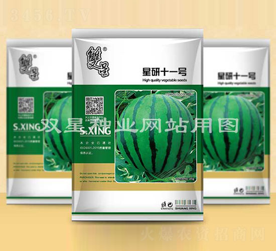 星研十一號-西瓜種子-雙星種業