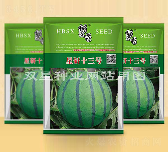 星研十三號(hào)-西瓜種子-雙星種業(yè)