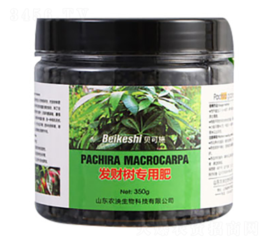 發財樹專用肥料-貝可施-農泱生物