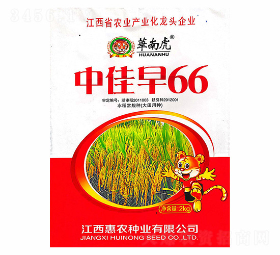 中佳早66-華南虎-惠農種業