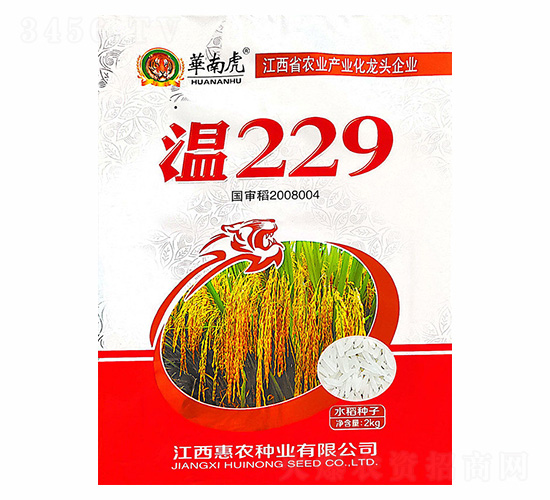 溫229-華南虎-惠農種業