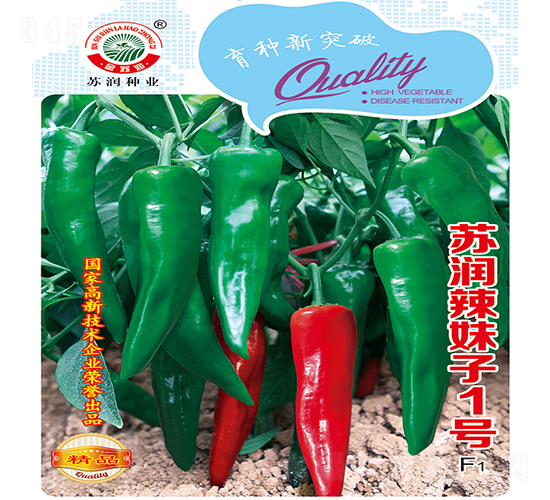 辣妹子1號-辣椒種子-蘇潤種業