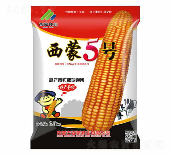 A5̖-ɷNI
