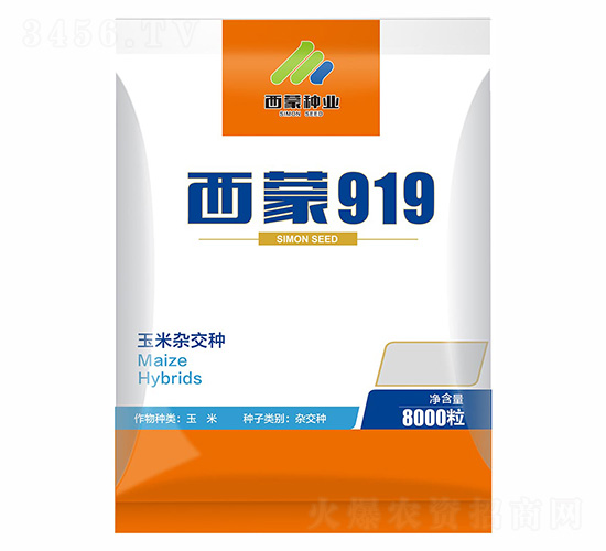 919-ɷNI