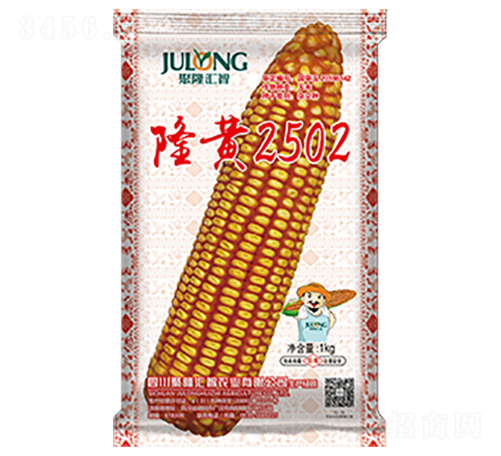 隆黃2502-玉米種子-聚隆匯智
