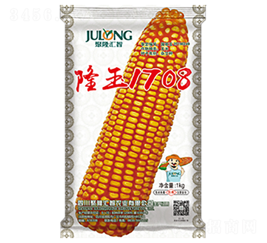 隆玉1708-玉米種子-聚隆匯智