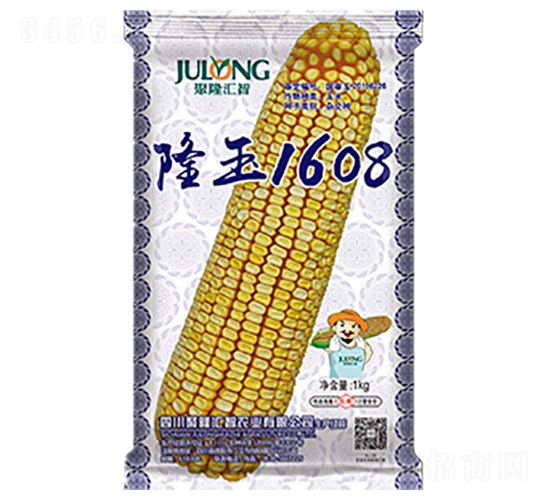 隆玉1608-玉米種子-聚隆匯智