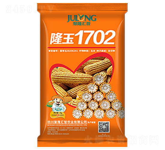 隆玉1702-玉米種子-聚隆匯智