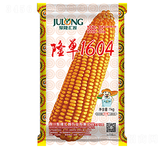 隆單1604-玉米種子-聚隆匯智