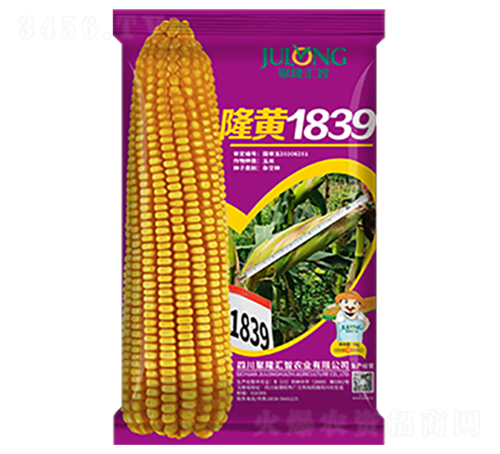 隆黃1839-玉米種子-聚隆匯智