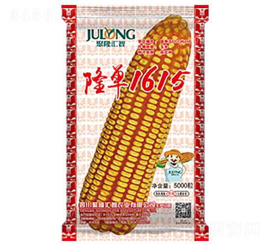 隆單1615-玉米種子-聚隆匯智